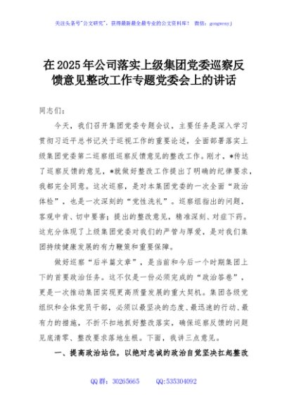 在2025年公司落实上级集团党委巡察反馈意见整改工作专题党委会上的讲话