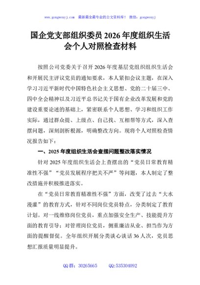 国企党支部组织委员2026年度组织生活会个人对照检查材料