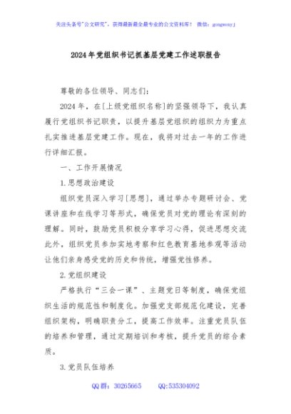 2024年党组织书记抓基层党建工作述职报告
