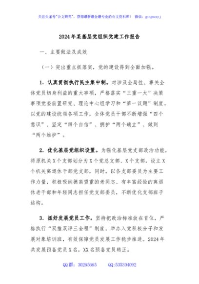 2024年某基层党组织党建工作报告