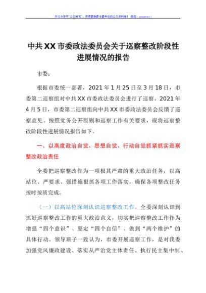 中共XX市委政法委员会关于巡察整改阶段性进展情况的报告