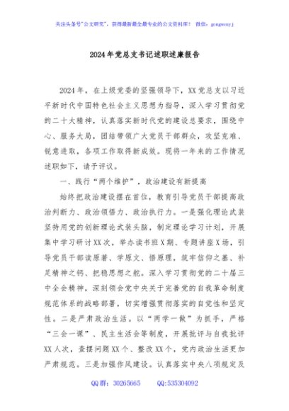2024年党总支书记述职述廉报告