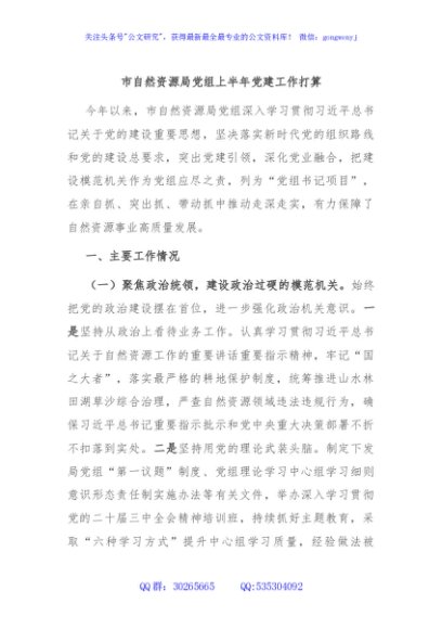 市自然资源局党组上半年党建工作打算