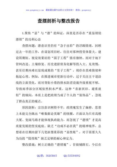 查摆剖析与整改报告