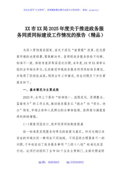 XX市XX局2025年度关于推进政务服务同质同标建设工作情况的报告（精品）