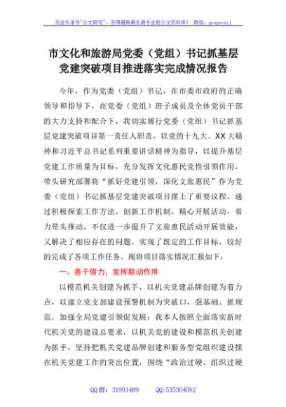 市文化和旅游局党委（党组）书记抓基层党建突破项目推进落实完成情况报告