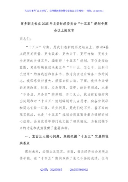 常务副县长在2025年县委财经委员会“十五五”规划专题会议上的发言