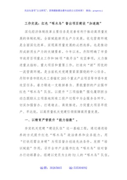 工作交流：红色“啄木鸟”督出项目建设“加速跑”