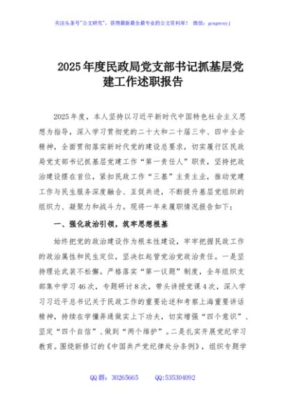 2025年度民政局党支部书记抓基层党建工作述职报告