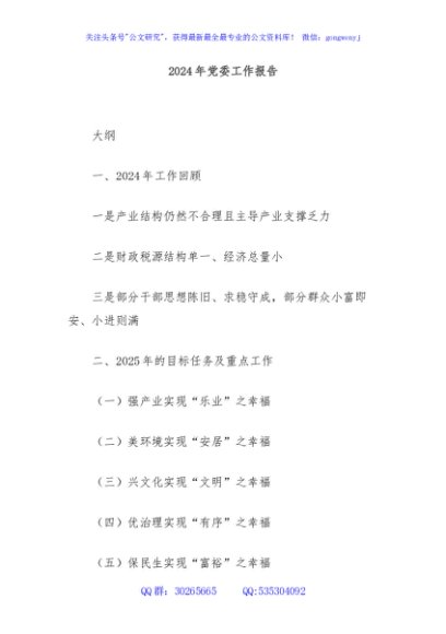 2024年党委工作报告