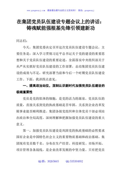 在集团党员队伍建设专题会议上的讲话：铸魂赋能强根基先锋引领建新功