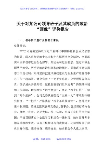 关于对某公司领导班子及其成员的政治“画像”评价报告