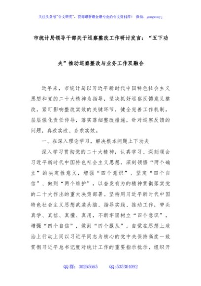市统计局领导干部关于巡察整改工作研讨发言：“五下功夫”推动巡察整改与业务工作双融合