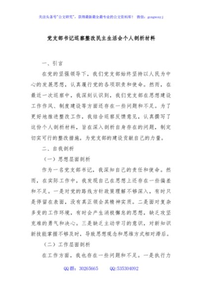 党支部书记巡察整改民主生活会个人剖析材料
