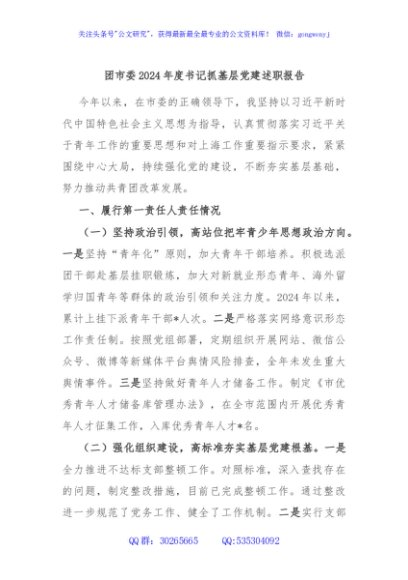 团市委2024年度书记抓基层党建述职报告