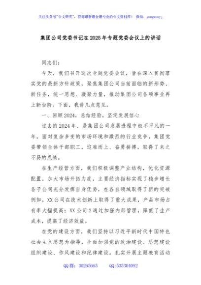 集团公司党委书记在2025年专题党委会议上的讲话