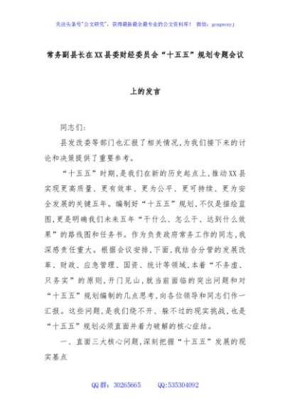 常务副县长在XX县委财经委员会“十五五”规划专题会议上的发言