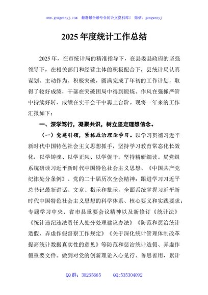 2025年度统计工作总结