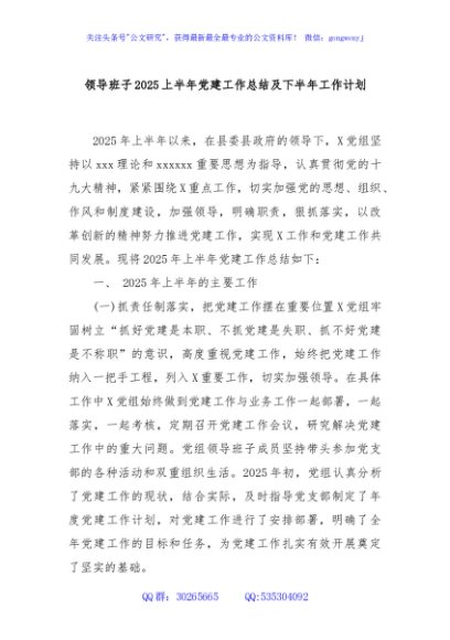 领导班子2025上半年党建工作总结及下半年工作计划