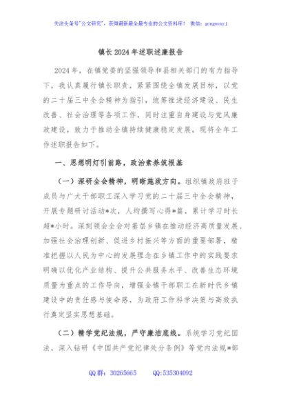 镇长2024年述职述廉报告