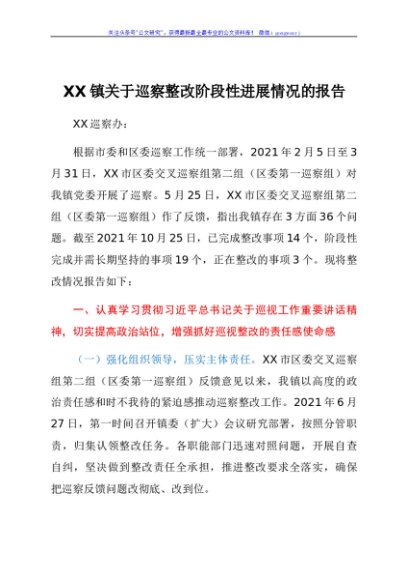 XX镇关于巡察整改阶段性进展情况的报告