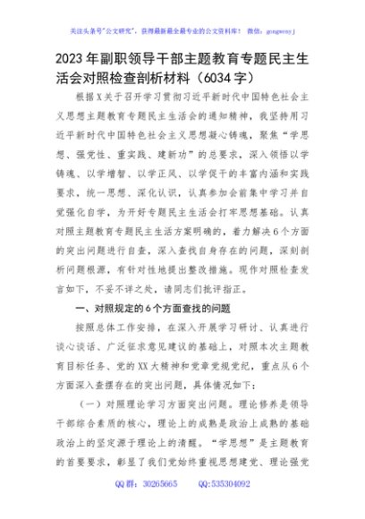 2023年副职领导干部主题教育专题民主生活会对照检查剖析材料