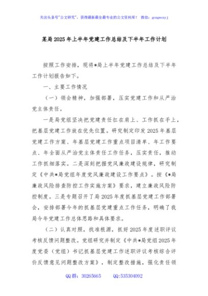某局 2025 年上半年党建工作总结及下半年工作计划