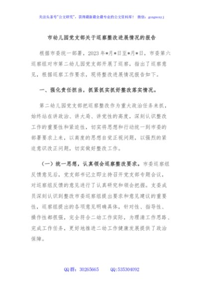 市幼儿园党支部关于巡察整改进展情况的报告