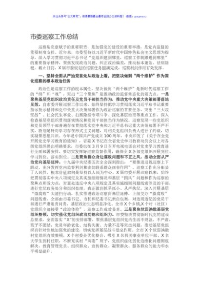 市委巡察工作总结
