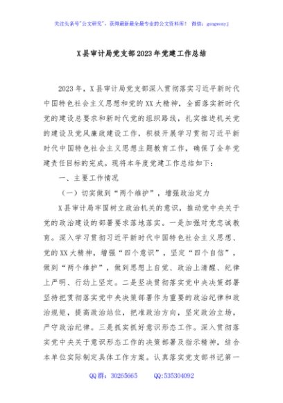 X县审计局党支部2023年党建工作总结