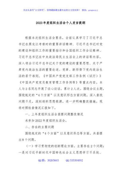 2023年度组织生活会个人发言提纲