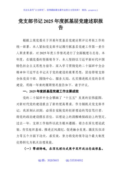 党支部书记2025年度抓基层党建述职报告