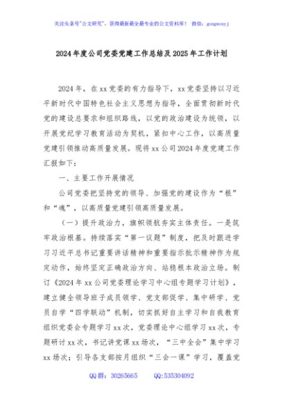 2024年度公司党委党建工作总结及2025年工作计划
