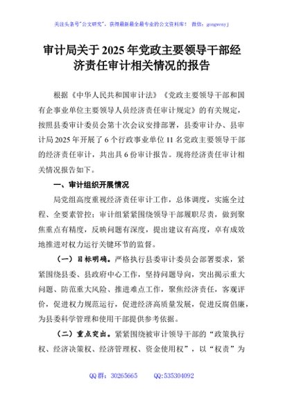 审计局关于2025年党政主要领导干部经济责任审计相关情况的报告