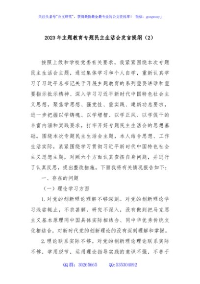 2023年主题教育专题民主生活会发言提纲（2）