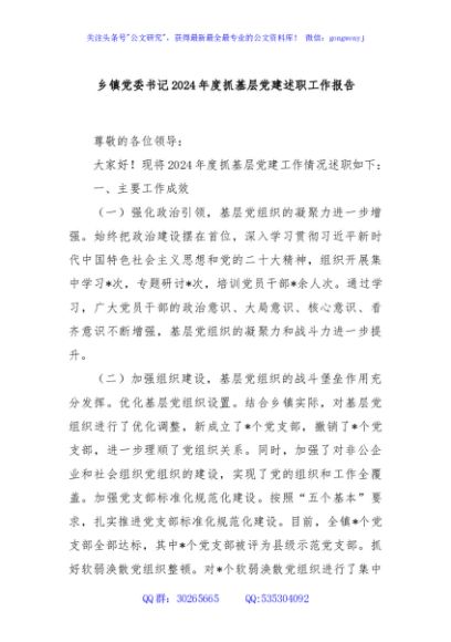 乡镇党委书记2024年度抓基层党建述职工作报告