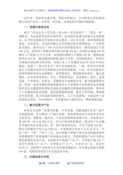 党建引领乡村振兴发展材料