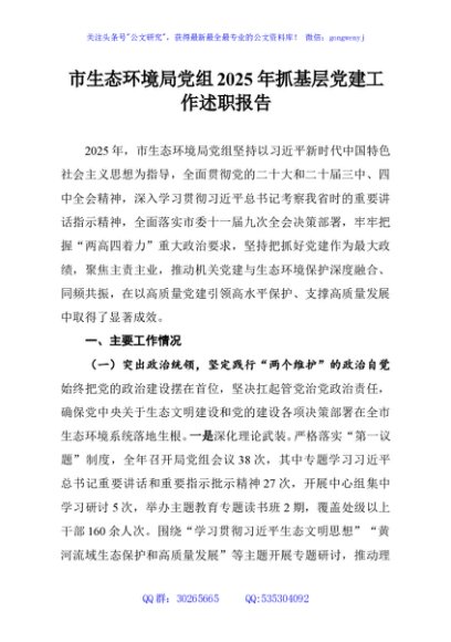 市生态环境局党组2025年抓基层党建工作述职报告