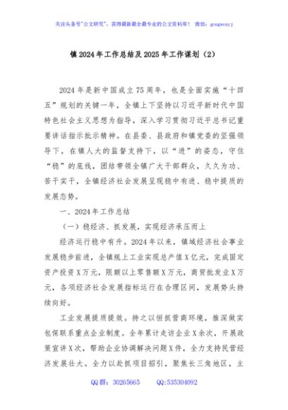 镇2024年工作总结及2025年工作谋划（2）