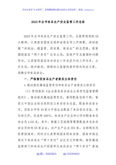 2023年全市食品生产安全监管工作总结