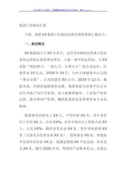 集团工作情况汇报