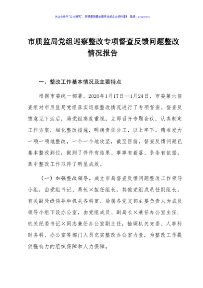 市质监局党组巡察整改专项督查反馈问题整改情况报告