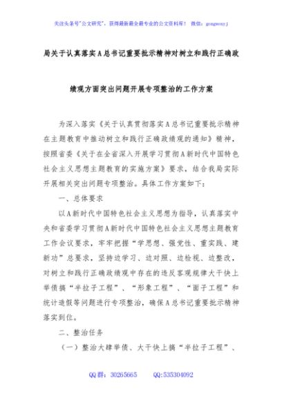 局关于认真落实A总书记重要批示精神对树立和践行正确政绩观方面突出问题开展专项整治的工作方案