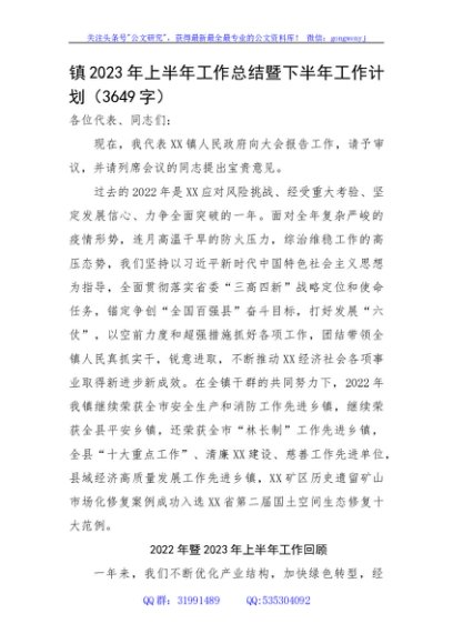 镇2023年上半年工作总结暨下半年工作计划