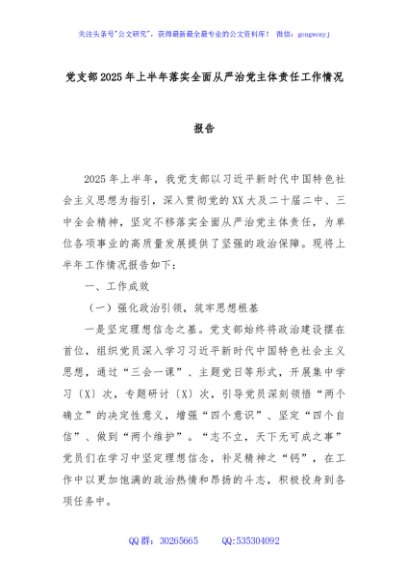 党支部2025年上半年落实全面从严治党主体责任工作情况报告
