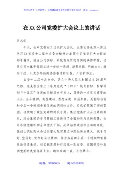 在XX公司党委扩大会议上的讲话