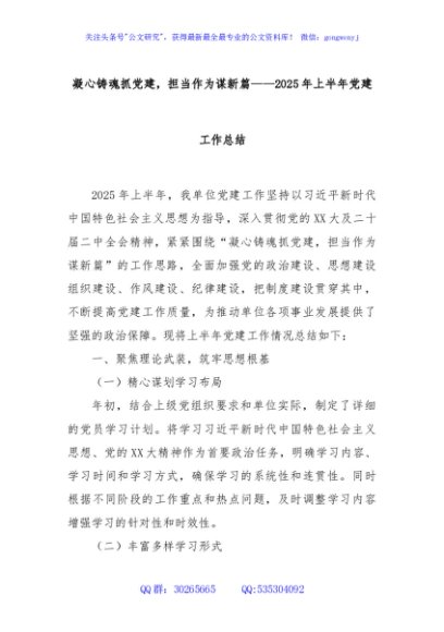 凝心铸魂抓党建，担当作为谋新篇——2025年上半年党建工作总结