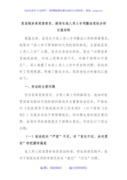 某县税务局党委委员、副局长选人用人专项整治党性分析汇报材料