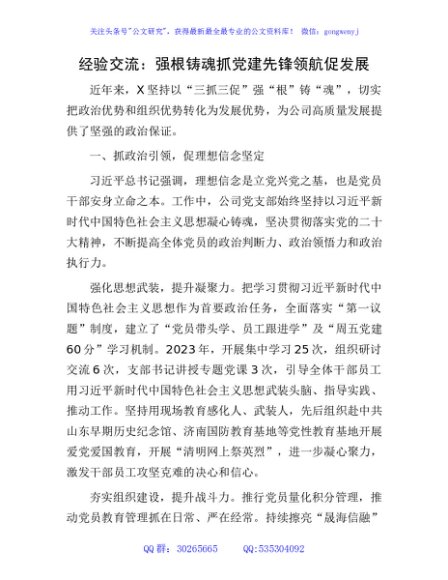 经验交流：强根铸魂抓党建 先锋领航促发展