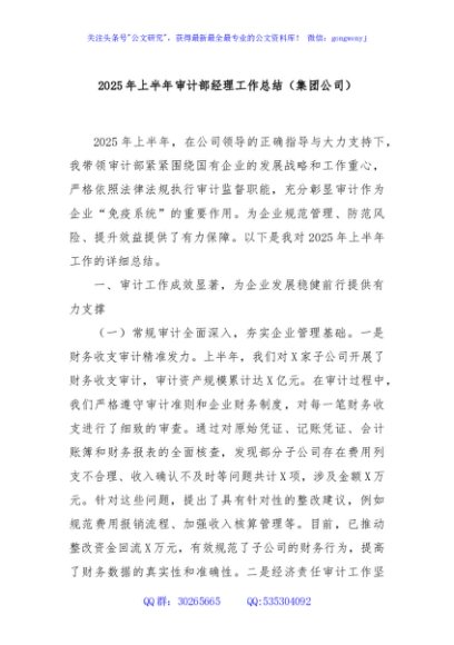2025年上半年审计部经理工作总结（集团公司）